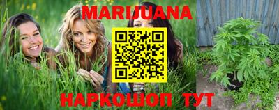 мяу мяу мука Нальчик