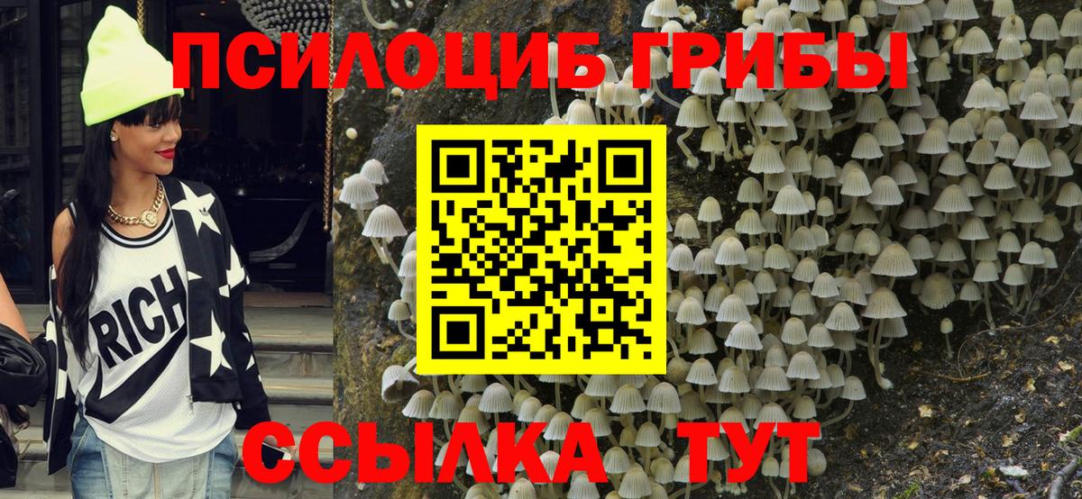 Псилоцибиновые грибы GOLDEN TEACHER  Вход с VPN  Салехард 
